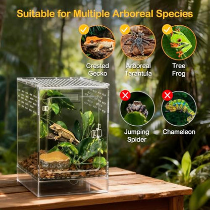 Reptile Terrarium,6" x 6" x 10" Tall Crested Gecko Tank,Polycarbonate Starter Kit Vertical Reptile Enclosure with Ventilation for Arboreal Tarantula Cribs,Tree Frog Cage,Small Reptiles Habitat - size: 6*6*10inch