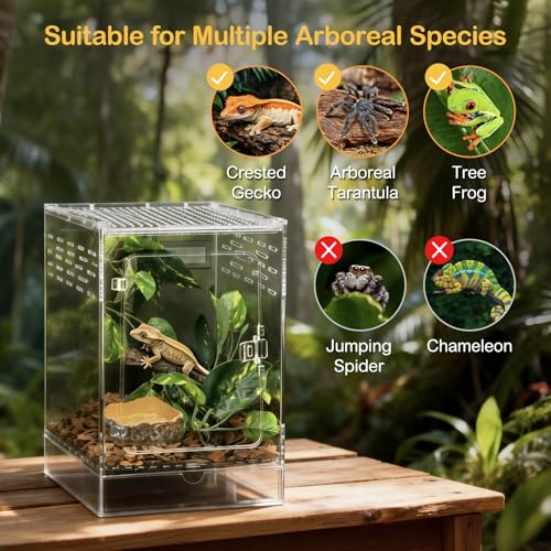 Reptile Tank,8" x 8" x 12" Crested Gecko Terrarium,PC Transparent Tall Vertical Starter Kit,Arboreal Tarantula Habitat with Ventilation for Tree Frog Cribs,Leopard Gecko Cage,Small Reptiles - size: 8*8*12inch