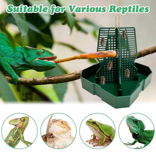 2PCS Reptile Hunting Bowl,4.4"×4.4"×4.7" H Insect Feeding Box with Rope and Tweezers Chameleon Feeder Bowls Hanging Bearded Dragon Bug Bowls Mounted Insect Reptile Feeder Box (Green,Small) - color: Green, size: Small:4.4"L×4.4"W×4.7"H