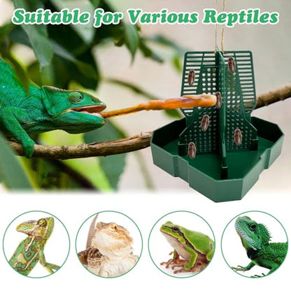 2PCS Reptile Hunting Bowl,5.8"×5.8"×6.1" H Insect Feeding Box with Rope and Tweezers Chameleon Feeder Bowls Hanging Bearded Dragon Bug Bowls Mounted Insect Reptile Feeder Box (Green,Large) - color: Green, size: Large:5.8"L×5.8"W×6.1"H