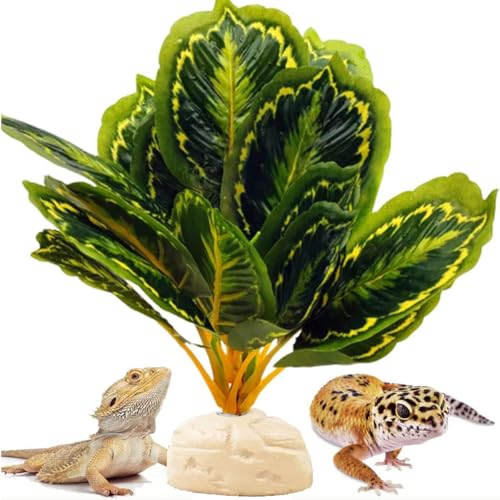 Reptile Decor Plants,Amphibian Habitat Decor,Artificial Plants for Bearded DragonTank Accessories Suitable for Leopard Gecko Lizard Chameleon Snake Tortoise (Calathea makoyana -A) - color: Calathea Makoyana -a