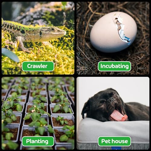 Simple Deluxe Ceramic Heat Emitter 100W Reptile Heat Lamp Bulb No Light Emitting Brooder Coop Heater for Amphibian Pet Snake Turtle & Incubating Chicken, No Harm, Color White, 1 Pack
