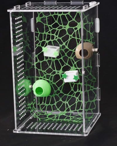3 Pcs Magnetic Jumping Spider Feeding Dish Jumping Spider Enclosure Accessories Star-Shaped Design Reptile Water Bowl for Other Small Reptiles or Insects (White+Green) - color: White+Green