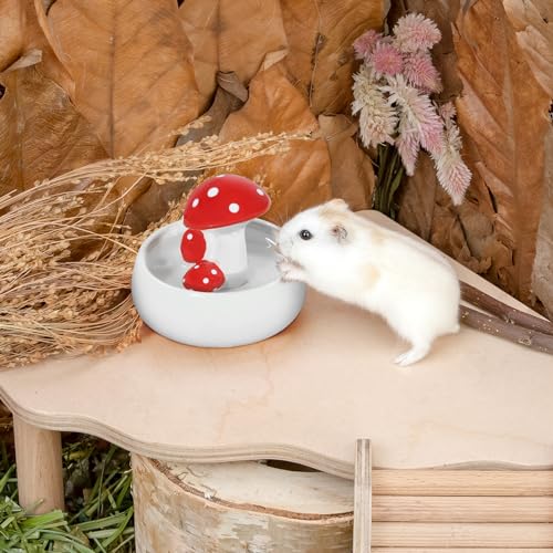 Niteangel Hamster Feeding & Water Bowls- Mushroom Ceramics Series Food Dish Feeding Bowls for Dwarf Syrian Hamsters Gerbils Mice Rats or Other Similar-Sized Small Pets (Water Bowl) - size: Water Bottle
