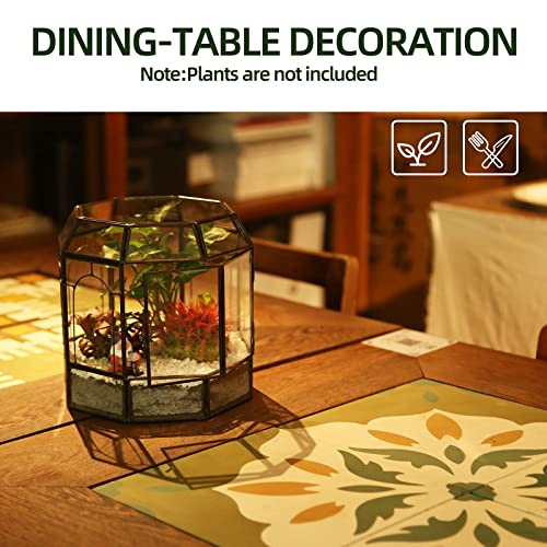 REDHUGO Large Glass Terrarium Handmade, Centerpiece Display Box Gift Planter Containers Indoor Terrariums House for Succulent Cacti Air Plants Miniature Fairy Garden - color: Black