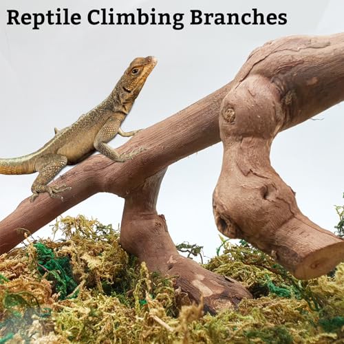 VCEPJH Snake Climbing Branch, 2Pcs Reptile Wood Natural Cork Log and Reptile Soil Substrate Burrowing Tortoise Bedding for Snake Tarantula Gecko Lizard Spidey Frog Hermit Crab