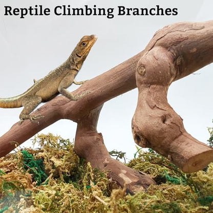 VCEPJH Snake Climbing Branch, 2Pcs Reptile Wood Natural Cork Log and 2 Pcs Reptile Bridge Leopard Gecko Climbing Ladder Wooden Basking for Crested Gecko Bearded Dragon Hermit Crab