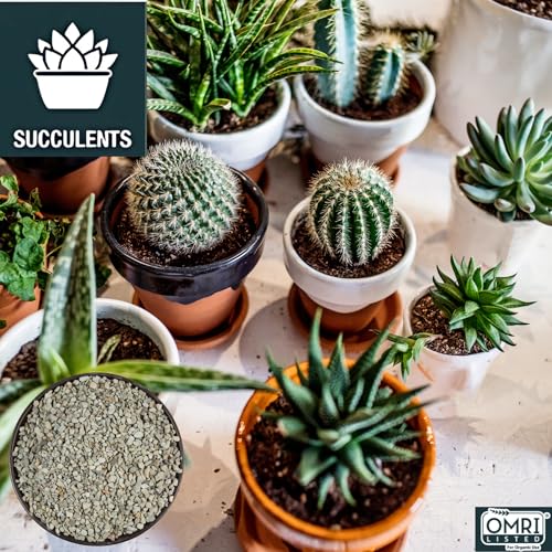 Zeolite Regular 24 lbs, Clinoptilolite 1/8"–1/4" (3–6 mm), Soil Amendment for Succulents, Bonsai & Plants, Improves Drainage and Moisture Balance, Decorative and Aquarium Use - style: Regular - 24 lbs