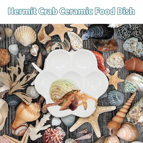 3.5" Hermit Crab Ceramic Food Dish,7 Compartments Ceramic Anti-turning Food & Water Bowl for Hermit Crab Tarantula Snail - size: 3.5 inch