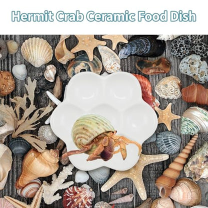 3.5" Hermit Crab Ceramic Food Dish,7 Compartments Ceramic Anti-turning Food & Water Bowl for Hermit Crab Tarantula Snail - size: 3.5 inch