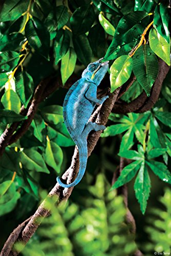 Exo Terra Jungle Vine, Small - size: Small
