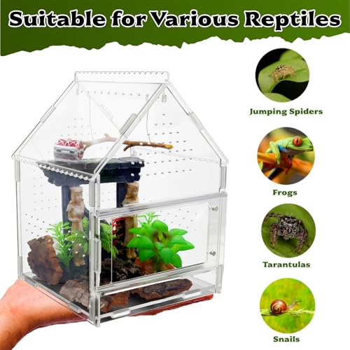 Acrylic Jumping Spider Enclosure with Magnetic Front Door - 360° View Reptile Terrarium for Tarantulas, Insects Hermit Crab - Includes Hanging Beam & Escape-Proof Ventilation (7.87x5.9x5.9 Inch)