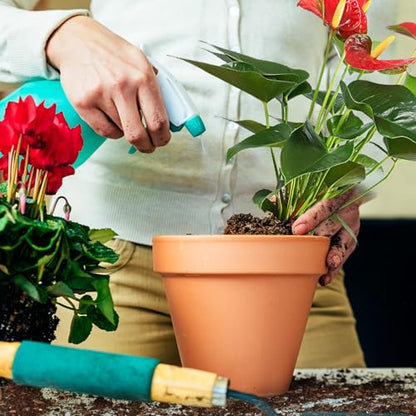 Doter All-Natural Potting Soil for Anthurium & Indoor Plants 2qt - Enhanced Drainage, No Additives | Premium Indoor Plant Soil Mix - size: 2qt