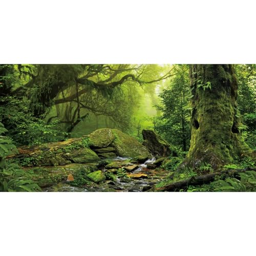 AWERT Tropical Forest Terrarium Background Stream Green Huge Tree Reptile Habitat Background Foggy Rainforest Aquarium Background 36x18 inches Durable Polyester Background - size: 36 x 18 inches