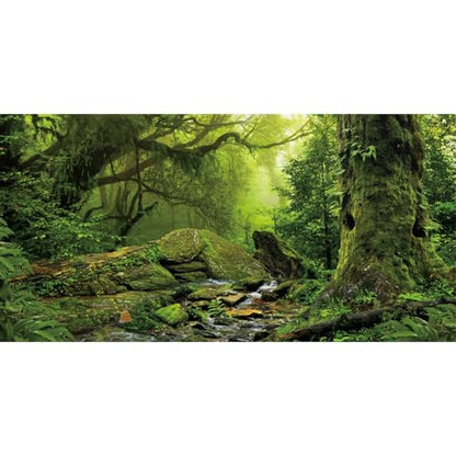 AWERT 48x24 inches Tropical Forest Terrarium Background Stream Green Huge Tree Reptile Habitat Background Foggy Rainforest Aquarium Background Durable Polyester Background - size: 48 x 24 inches