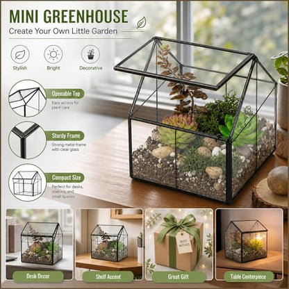 Ferrisland Glass Plant Terrarium Container Wardian Case Indoor Small Succulent Terrarium Planter w/Door for Tabletop Decor DIY - 4.9"x4.3"x4.3" - size: 4.3"L x 4.3"W x 4.9"H