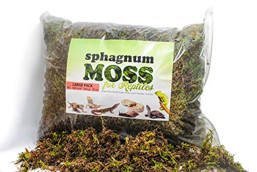 My Happy Snails Sphagnum Moss for Reptiles - Organic Green Color - Dried Substrate for Terrarium Vivarium (Medium Pack - 5 litres / 250 gr / 18 oz) - size: Medium Pack - 5 litres / 250 gr / 18 oz