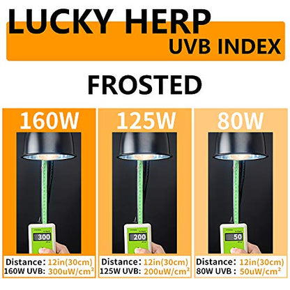 LUCKY HERP 160 Watt UVA+UVB Vapor Heat Lamp Bulb, High Intensity Self-Ballasted Heat Basking Lamp/Bulb/Light for Reptile and Amphibian, Sun Lamp for Bearded Dragon Lizard Turtle - size: 160