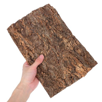 Angoily 2Pcs Natural Reptile Tree Bark Terrarium Decor Climbing Platform for Lizards Gecko Bearded Dragons Turtle Tank Accessory Non-Fade Wood