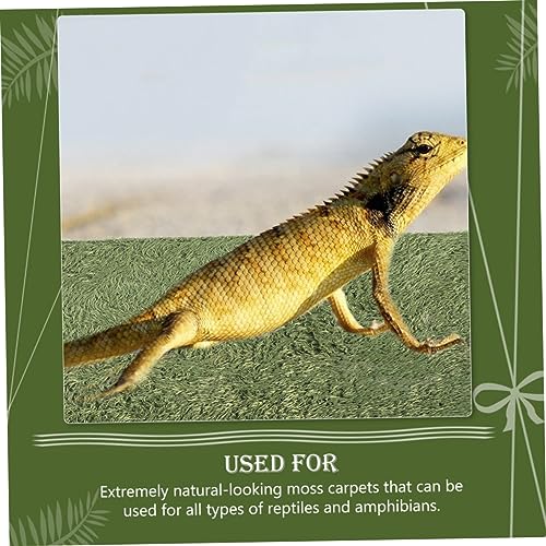 Toddmomy Horned Frogs Moss Carpet for Reptiles and Amphibians Green Faux Grass Mat for Terrarium Moisture Retaining Bedding for Crawling Pets Tortoise and Lizard Habitat Accessory