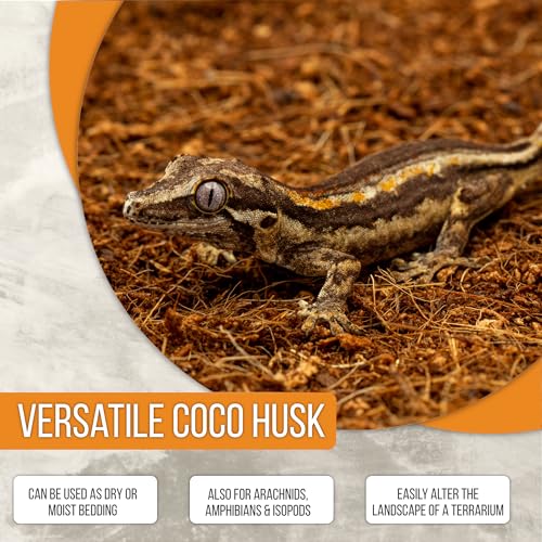 ReptiEarth Reptile Bedding, Fluffy Coconut Fiber Substrate 36 Quart Organic Coco Ready to Use for Bioactive Snake Terrarium, Lizard Tanks with Plants, for Frog, Tarantula or Hermit Crab Habitat - size: 36 Quart