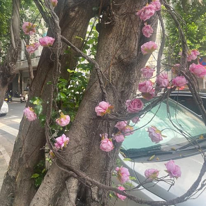 (2pcs) Flexible 118 inch Large Flexible Artificial Tree Fall Vines Twine Wood Branches with Peony Flowers Garland Twig Reptile Climbing Fake Plants for Wedding Arch Christmas Wall Door Hanging - color: Rose Vine