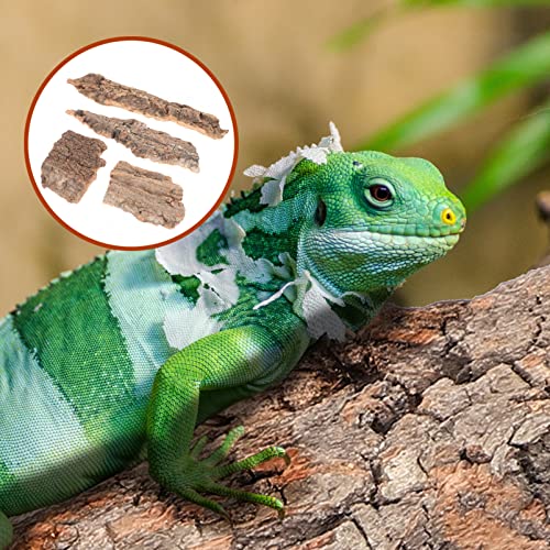 balacoo Reptile Bark Climbing Tree Decor 9.05In Natural Cork Wood Terrarium Accessories Reptile Hideout for Snakes Lizards Tortoise Habitat