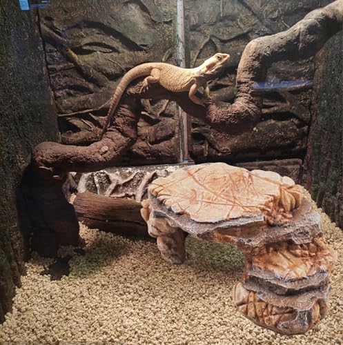 Turtle Basking Climbing Platform Resin Basking Platform for Turtles Aquarium Fish Tank Ornament Reptile Climbing Ramp Decorations Tortoise, Gecko and Beard Dragon
