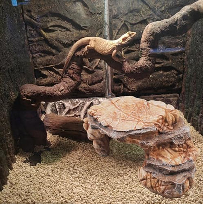 Turtle Basking Climbing Platform Resin Basking Platform for Turtles Aquarium Fish Tank Ornament Reptile Climbing Ramp Decorations Tortoise, Gecko and Beard Dragon