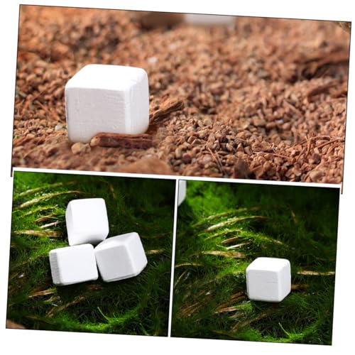 Happyyami 30pcs Natural Mineral Calcium Blocks for Turtles Tortoises Lizards Frogs Chameleons Enhances Water Stability Supports Growth and Versatile Reptile Amphibian Care