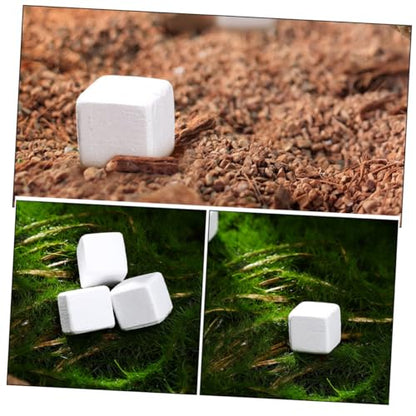 Happyyami 30pcs Natural Mineral Calcium Blocks for Turtles Tortoises Lizards Frogs Chameleons Enhances Water Stability Supports Growth and Versatile Reptile Amphibian Care