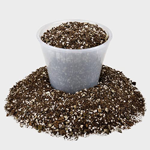 Premium African Violets and Gesneriad Premium Soil Mix by Gardenera - Horticultural Perlite, Vermiculite, Sphagnum Peat Moss - Made in USA - (2 Quart) - color: AFRICAN VIOLETS SOIL, size: 2 Quart