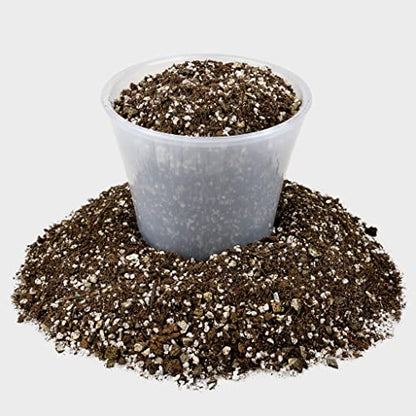 Premium African Violets and Gesneriad Premium Soil Mix by Gardenera - Horticultural Perlite, Vermiculite, Sphagnum Peat Moss - Made in USA - (2 Quart) - color: AFRICAN VIOLETS SOIL, size: 2 Quart