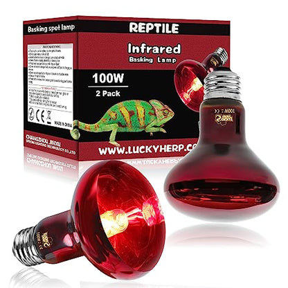 LUCKY HERP Infrared Heat Lamp 100W 2 Pack，Reptile & Amphibian Basking Spot Light Bulbs, Red Heat Lamp Bulbs for Reptiles, Bearded Dragon, Turtle, Lizard, Snake, Chicken - size: 100