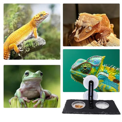 Reptile Tank Accessories, Slate Gecko Feeding Ledge with Suction Cups, Crested Gecko Food Dish, Food Bowl and Water Dish for Gecko, Chameleon, Frog and Other Small Reptile