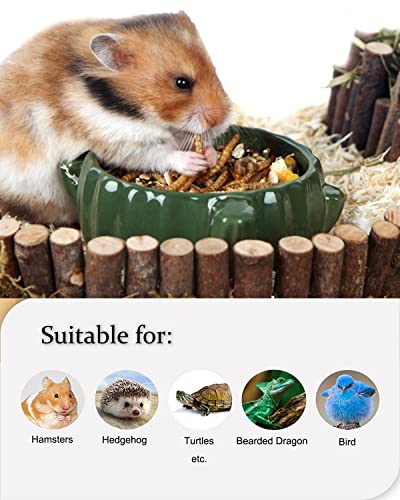 Reptile Food Dried Mealworms Pet Worms Food for Bearded Dragon, Lizard, Turtles, Chameleon, Monitor, Frog, Sugar Glider, Chickens, Birds, Hamsters and Hedgehogs (3.5 OZ)