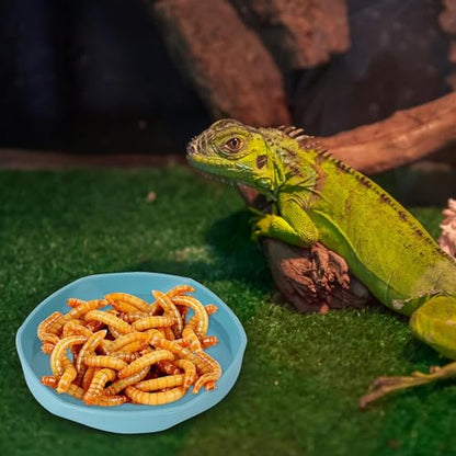 COMSUN 4 Pack Small Reptile Food Dish Bowl, Plastic Worm Water Dish Plate for Lizard Gecko Bearded Dragon Chameleon 4" W x 4" D x 0.5" H, Blue and Yellow - color: Blue and Yellow