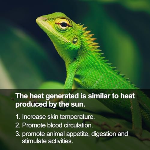 REPTI ZOO Reptile Basking Heat Lamp Bulb, 80W Splashproof Energy Saving Deep Heater Non-Luminous Carbon Infrared Heat Bulb for Reptile Amphibians - style: 80W