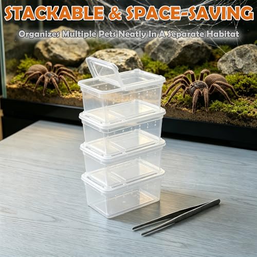 12 Pcs Mini Reptile Feeding Box, 3.6 x 2.1 x 1.9 inch Plastic Spider Terrarium Breeding Container with Ventilation Holes, Transparent Habitat Cage for Jumping Spider Tarantula Scorpion Gecko Insect