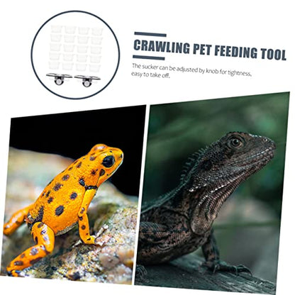 Kisangel 2-Piece Reptile Feeding Dish Set with Suction Cups Random Color Gecko Water Bowl and Food Ledge for Lizards and Other Reptiles for Terrariums