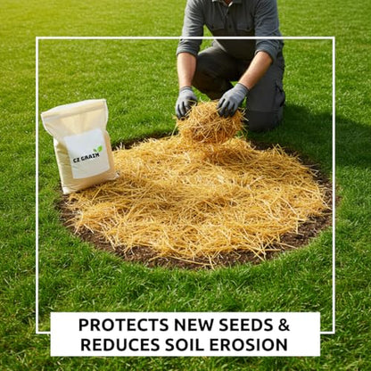 Premium Wheat Straw Growing Substrate – Clean, Dried & Chopped – Ideal for Mushroom Cultivation, Garden Mulch, Worm Bedding & Composting (4 Ounces) - size: 4 Ounces
