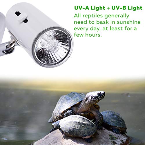 CALPALMY 4-Pack 75W UVA+UVB Bulbs | Heat and Light for Reptiles and Amphibian Tanks, Terrariums and Cages | Works with Various Lamp Fixtures