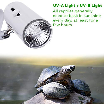 CALPALMY 4-Pack 75W UVA+UVB Bulbs | Heat and Light for Reptiles and Amphibian Tanks, Terrariums and Cages | Works with Various Lamp Fixtures
