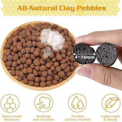 Legigo 10 LB Organic Leca Clay Pebbles & 2 QT Horticultural Charcoal, Natural Soil Amendment for Drainage, Aeration, and Healthy Indoor Plants, Orchids, Hydroponics & Terrariums