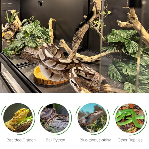 40"x16"x16" (44G) PVC Reptile Enclosure, Lightweight Insulated Terrarium with Tempered Glass Sliding Doors & Lock, Front Opening Habitat for Gecko, Snake, Small Lizards - size: 40"x16"x16" (44 Gallons)