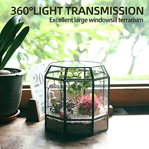 REDHUGO Large Glass Terrarium Handmade, Centerpiece Display Box Gift Planter Containers Indoor Terrariums House for Succulent Cacti Air Plants Miniature Fairy Garden - color: Black