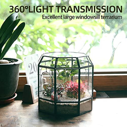 REDHUGO Large Glass Terrarium Handmade, Centerpiece Display Box Gift Planter Containers Indoor Terrariums House for Succulent Cacti Air Plants Miniature Fairy Garden - color: Black