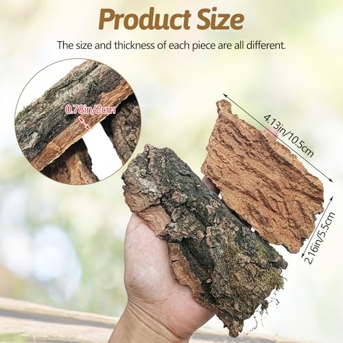 BNOSDM Reptile Cork Bark Substrate and Sea Grass Bed Mat for Lizard, Gecko