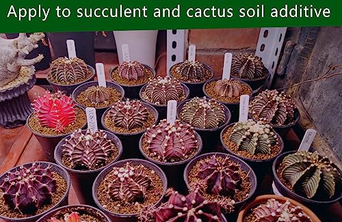 Horticultural Akadama Soil - Cactus Bonsai Succulent Soil Additive for Plants, Landscaping, Vase Fillers (18 LB, 1/4 inch Soft-Grade Akadama) - style: 18 LB