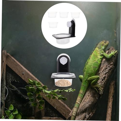 Toddmomy Reptile Feeding and Drinking Bowl Durable Worm Container with Suction Cup for Easy Feeding of Geckos Tortoises and Other Pets Compact Design for Space-Saving Use